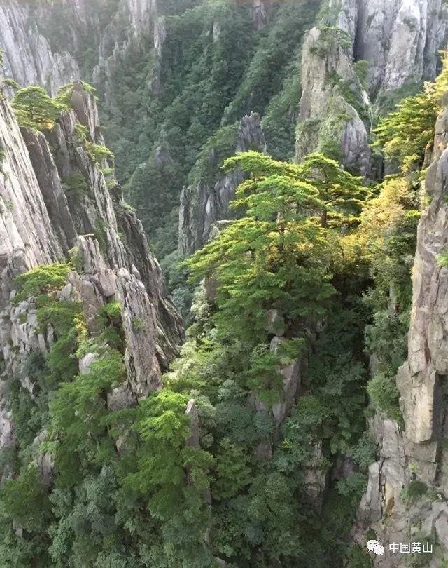 老山羊救援
