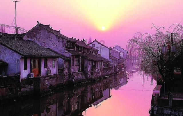 恐龙绝地逃生