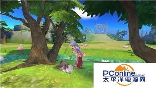 县人大常委会召开乡镇人大工作汇报会